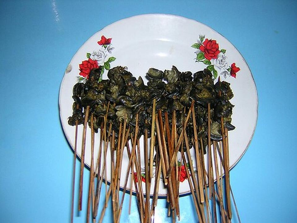 Sate Kol